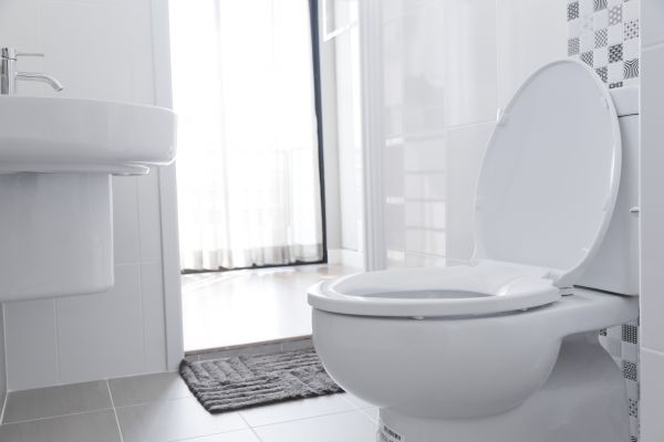 Cost of Toilet Relocation in Foley